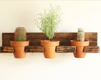 Plant Shelf - Indoor Planter