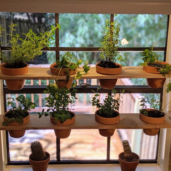 Hanging Plant Shelves - Indoor Planters -Window Shelves