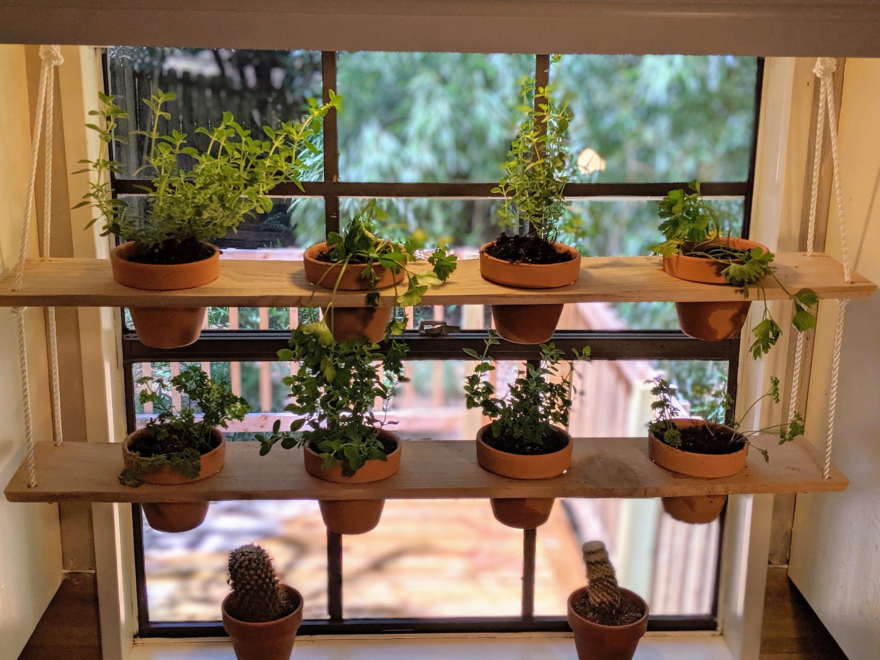 Window Shelf for Plants, Indoor Plant Shelf, Window Plant Shelf, Window  Planter Suction Cup Shelf, Large 12x4 