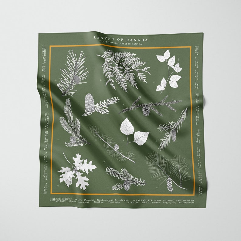 SILK SCARF: Provincial Trees of Canada, Nature Inspired, Botanical Art image 2