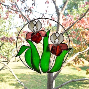 Iris in Wire Ring