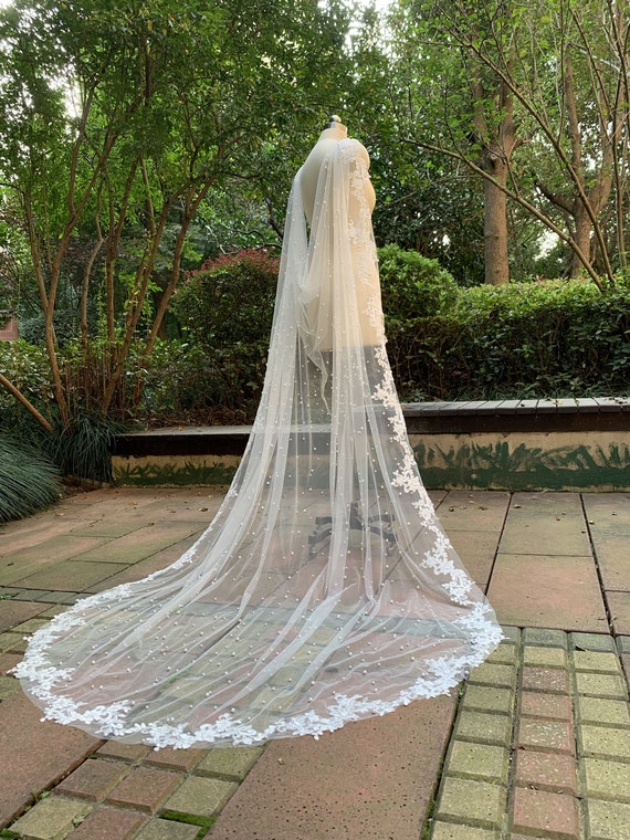 Misdress Ivory Tulle Champagne Lace Long Cathedral Wedding Bridal Veil