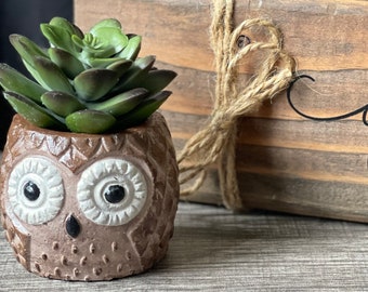 Handmade Owl Succulent Pot/Planter - Animal - Critter -Wildlife