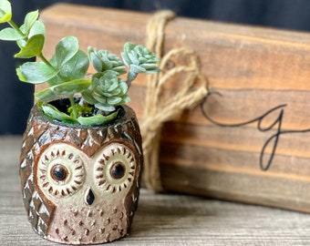 Handmade Owl Succulent Pot/Planter - Animal - Critter -Wildlife