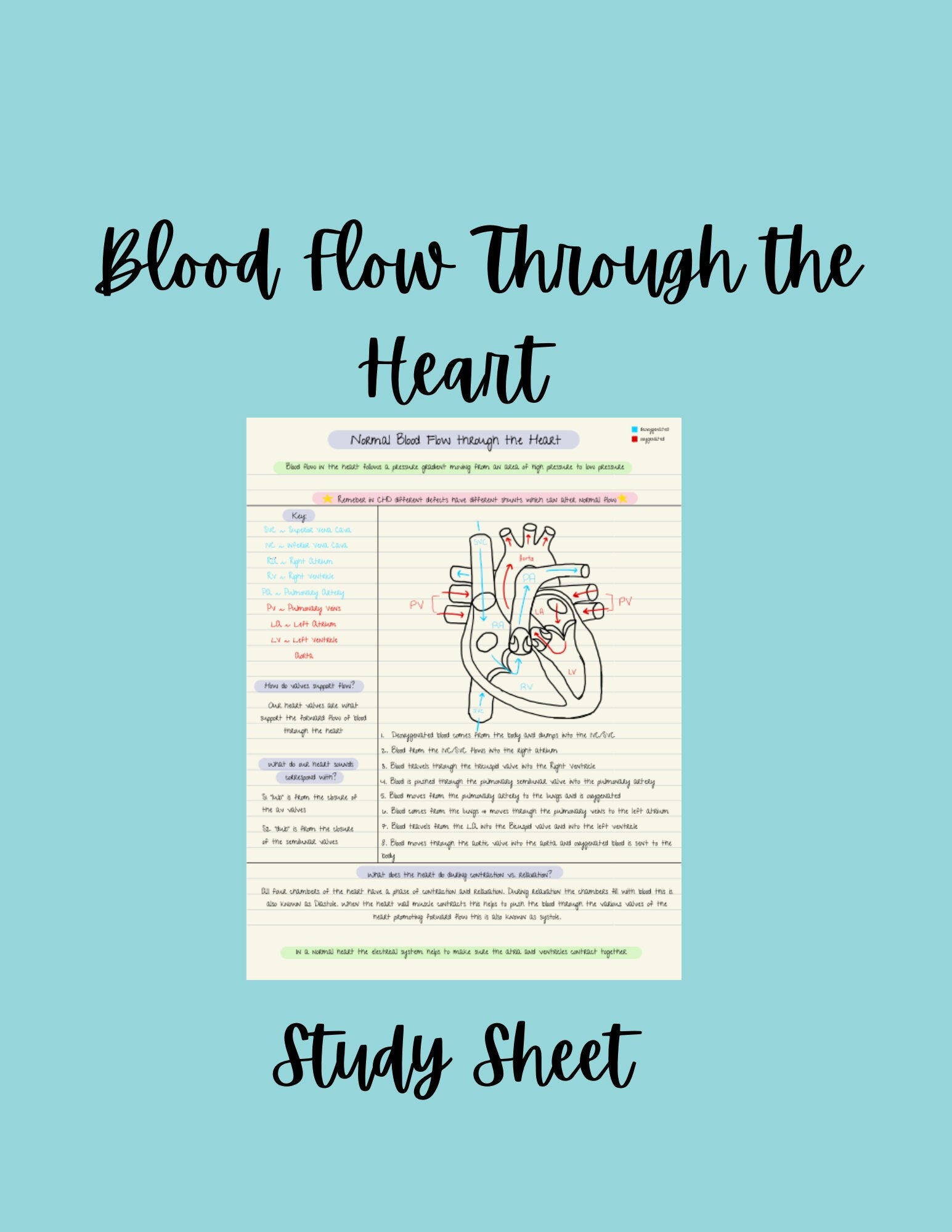 Blood Flow Through The Heart Study Sheet Etsy Blood Flow Through The Heart Study Sheet Etsy