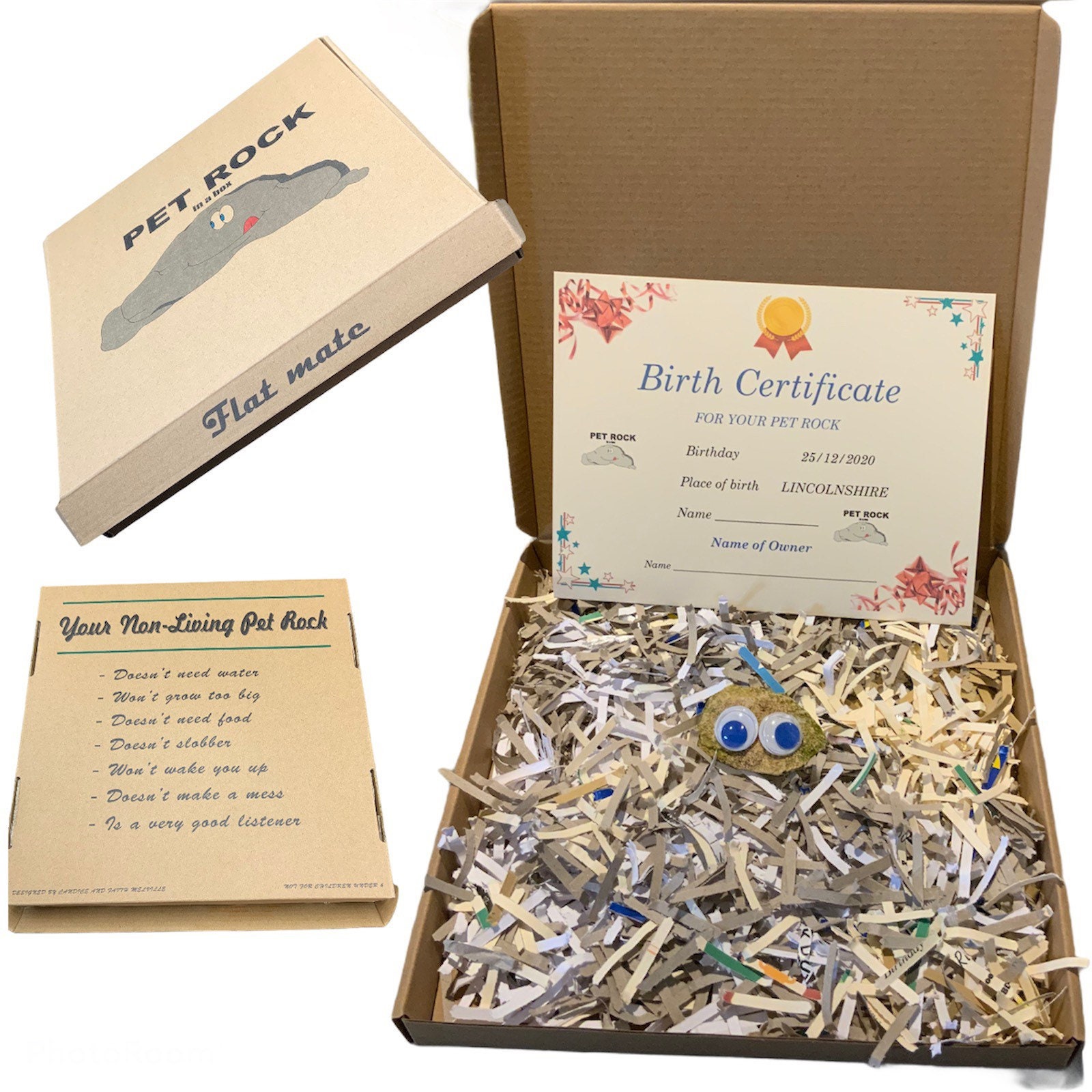 Pet Rock Box Template Pet Rock Box Template