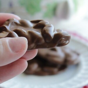 Crock Pot Chocolate Peanut Clusters + BONUS Recipe!