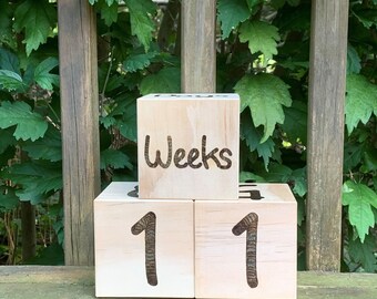 Wood Burn Baby Milestone Blocks. Wood Baby Blocks. Baby Photo Blocks. Baby Photo Prop. Baby Gift. Baby Milestone Markers. Baby Age Blocks.