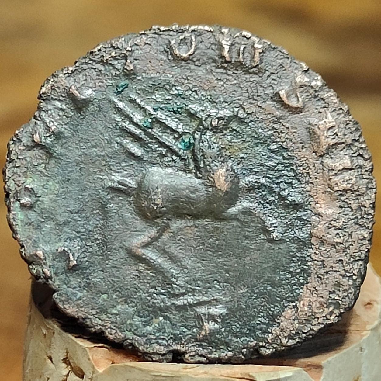 ガリエヌス動物園シリーズのローマ硬貨 AE3、3 世紀古代アントニニ