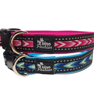 Reflective Dog Collar: Padded Softshell, Adjustable, Dinofashion