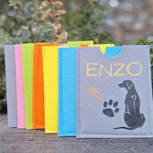 Personalized Pet Vaccination Passport Cover – Felt Dog & Cat Holder Handmade with Custom Name
