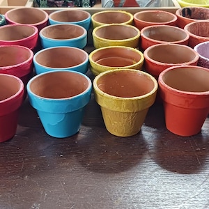 May include: A collection of small, terracotta flower pots in various colors, including green, red, blue, yellow, orange, and pink. The pots are arranged on a dark wooden surface, showcasing their painted exteriors and unpainted interiors.
