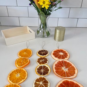 Dried Citrus Garland