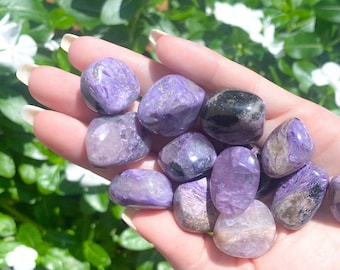 FEAR RELEASE - Chariote Stone - Lilac Stone- Cleansing - Letting Go - Flexibility - Release Worry - Inspiration - Heart and Crown Chakra