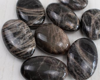Black Moonstone Palm