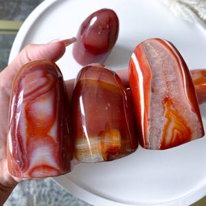 YOU CHOOSE Carnelian Free Form - Courage Crystal - Strength - Protection - Root, Sacral, Solar Plexus Chakra