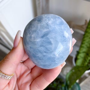 Large High Quality Blue Calcite Palm #1