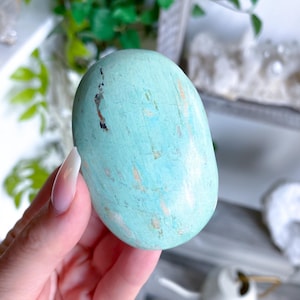 Peruvian Turquoise Palm Stone #8