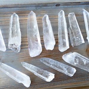 3&quot;-5&quot; Lemurian Empathic Warrior LARGE Star Seed Quartz Wands - Empathic Warrior Points - B quality