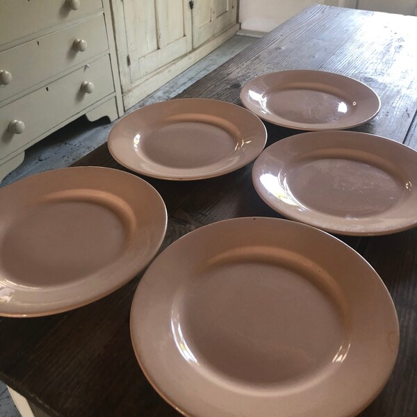 Beautiful Vintage French Art Deco Blush Pink Porcelain Plates (set of 5) ~by  Digoin Sarreguemines, from the 1930's