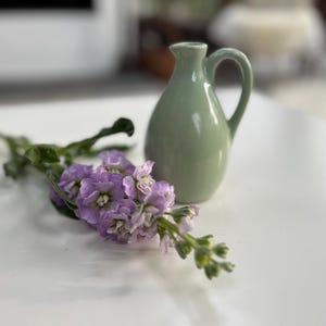 May include: A small, sage green ceramic pitcher with a handle sits next to a sprig of purple flowers with green leaves. The pitcher has a rounded body and a narrow spout. The flowers are in full bloom, with delicate petals.
