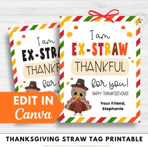 May include: Thanksgiving straw tag printable with the text "I am EX-STRAW THANKFUL for you!" and a cartoon turkey wearing a pilgrim hat. The tag has a red and white striped border and a red bow.