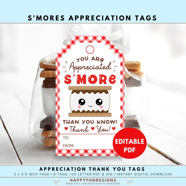 Smores Teacher Appreciation Tag Printable, Smores Tags for Teacher, Smores Teacher Tag, Thank You Teacher PTO PTA, Teacher End of Year Tag