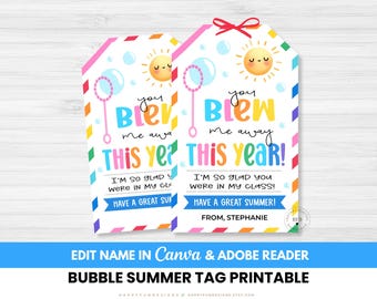 Editable You Blew Me Away This Year Tag Printable, Summer Bubble Wand Tag, PTO PTA End of Year Pool Party, Buckets of Fun Summer Break Tag
