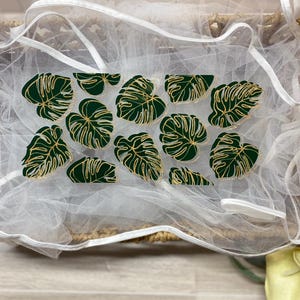 Monstera Green Leaves, Monstera, Beautiful Plant cup,  Plant Lover, Plant heaven, UV DTF 16oz wrap, (P9)
