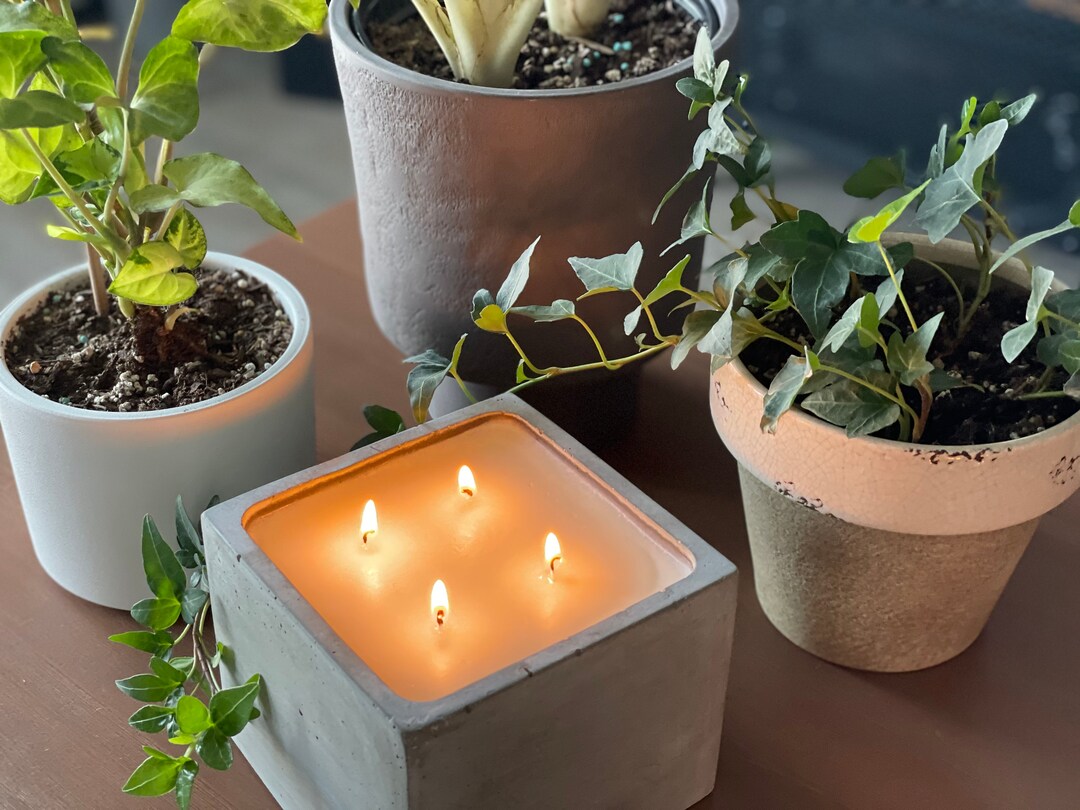 Citronella Essential Oil Concrete Candle Natural Soy Wax Cement