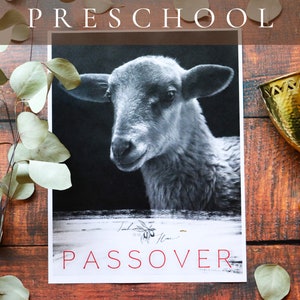 Preschool Passover Study