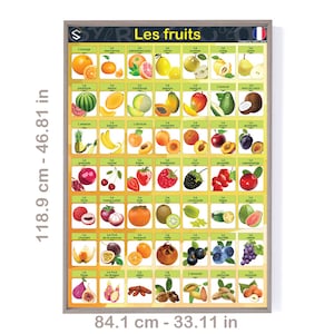 Les fruits / French fruits Poster / teachers materials / Printable Nursery Art / Classroom Decor / homeschooling art / France teachers