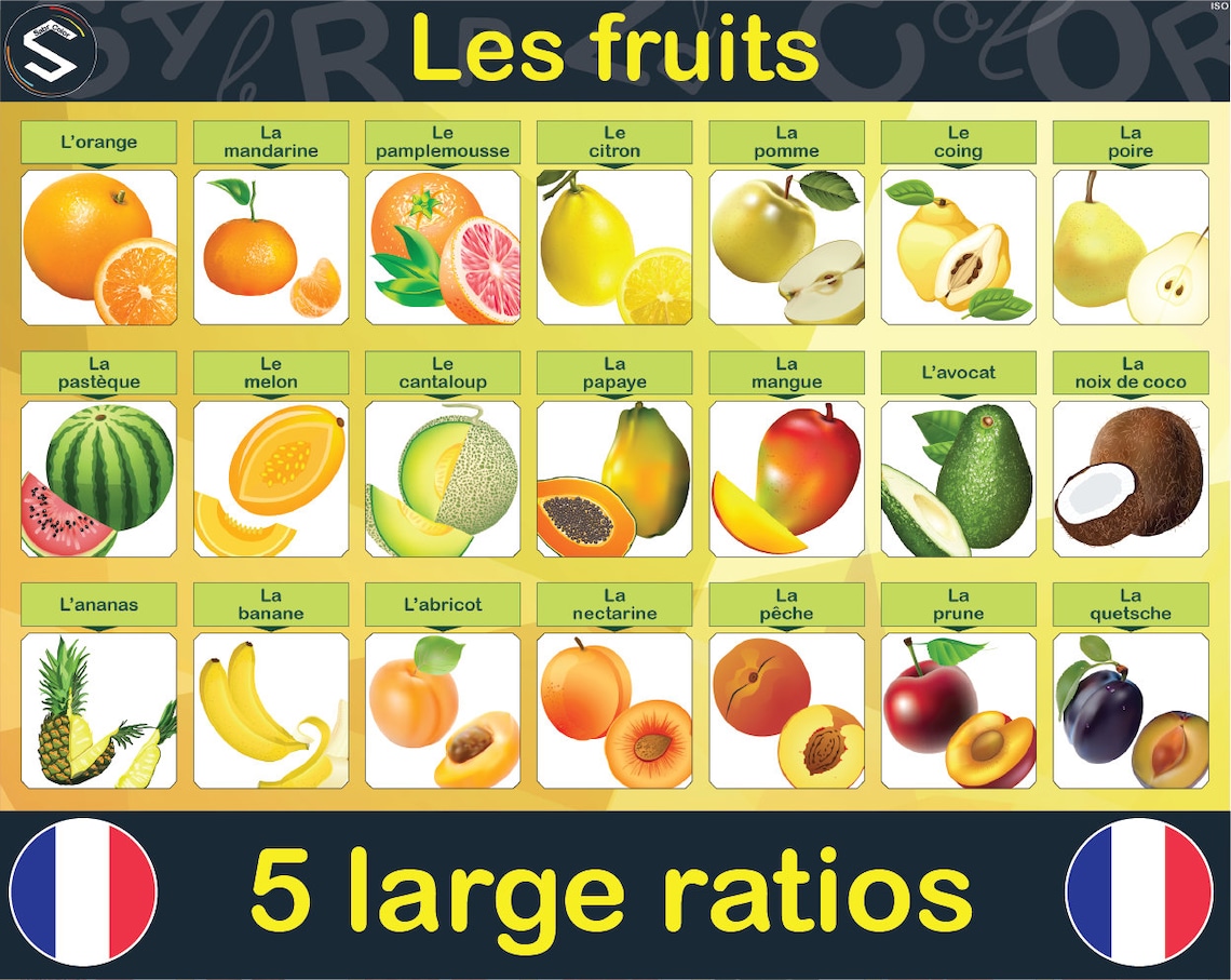 Les Fruits / French Fruits Poster / Teachers Materials / Etsy