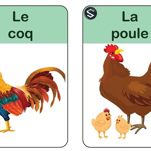 Op de afbeelding: Twee flashcards met illustraties van een haan en een hen. De haan is rood, geel en blauw met een grote rode kam. De hen is bruin met drie gele kuikens. De tekst op de kaarten luidt "Le coq" en "La poule".