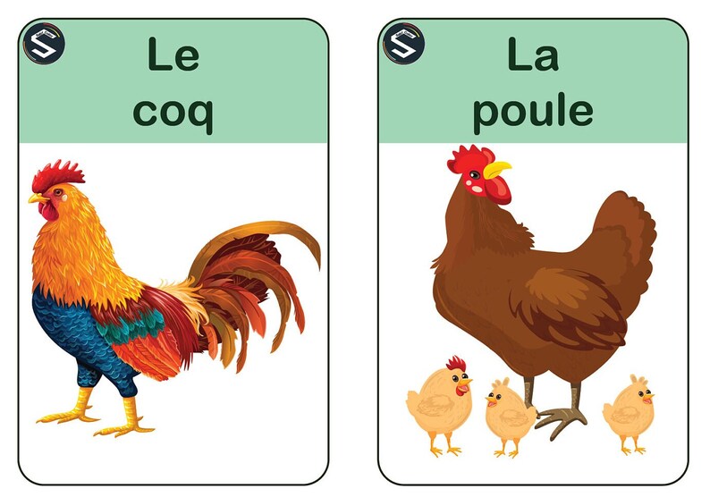 Op de afbeelding: Twee flashcards met illustraties van een haan en een hen. De haan is rood, geel en blauw met een grote rode kam. De hen is bruin met drie gele kuikens. De tekst op de kaarten luidt "Le coq" en "La poule".