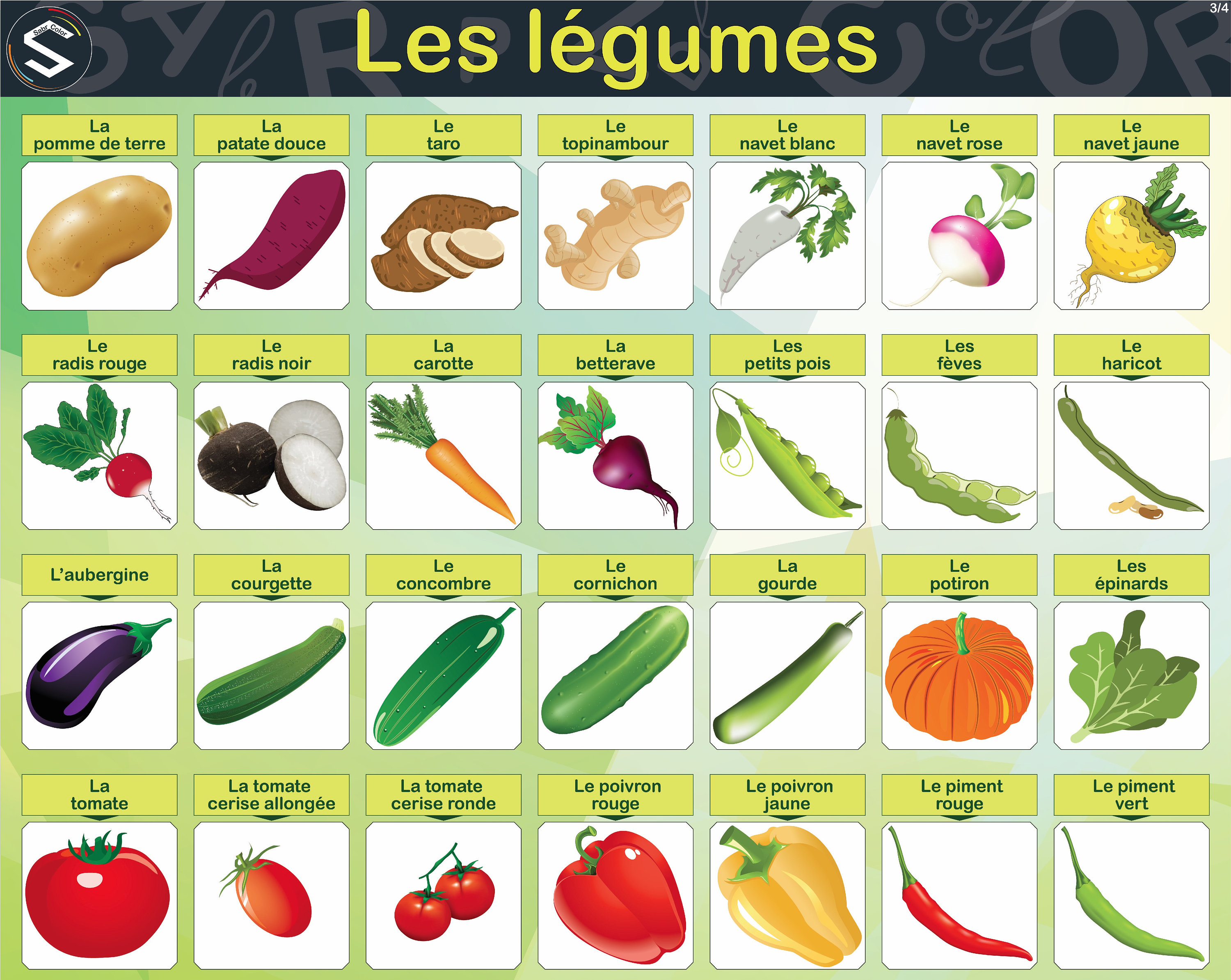 FRENCH Vegetables Poster / Les Légumes / Coloured Vegetables / Etsy