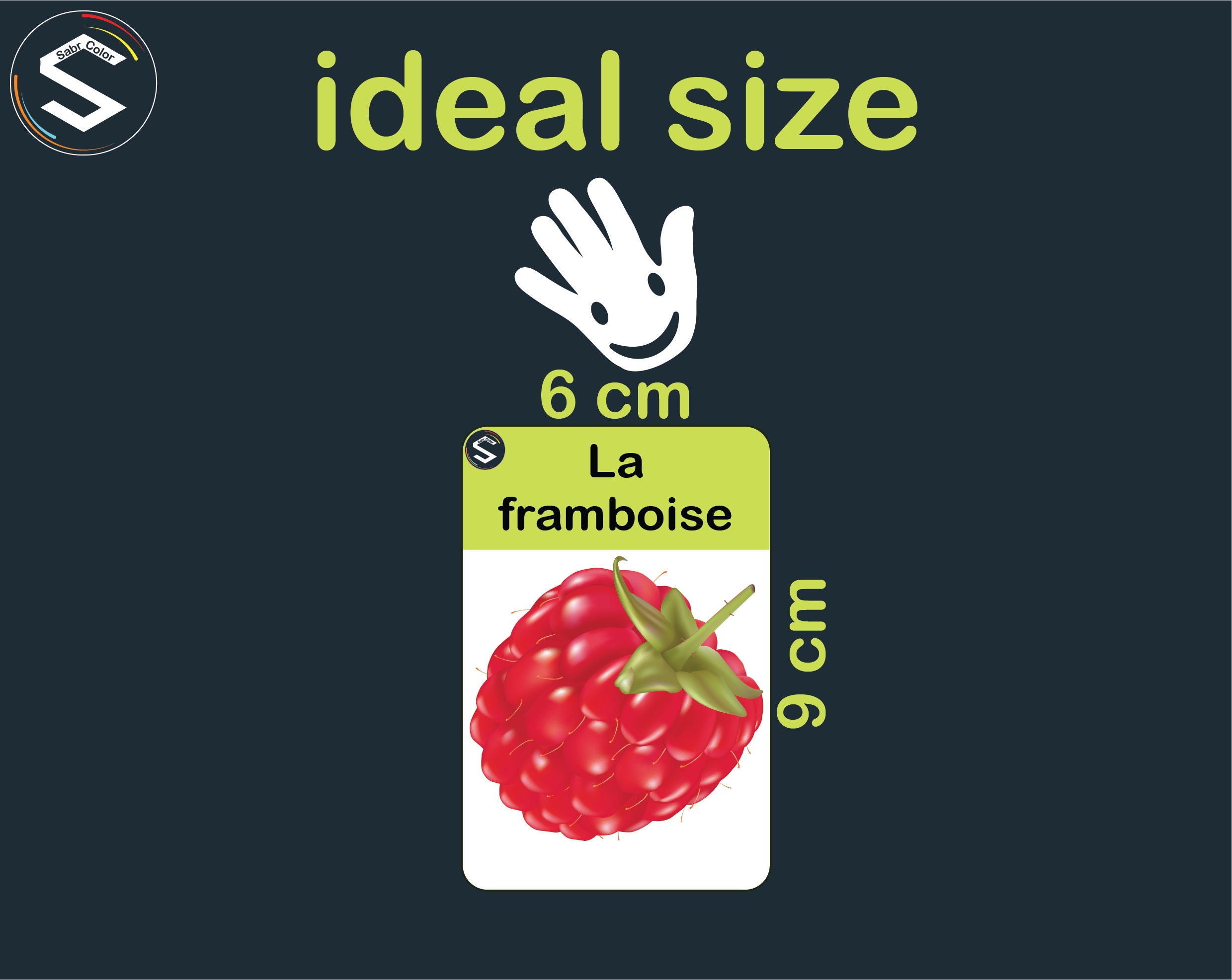 French Fruits Flashcards: Vocabulary Learning Cards (digital Download ...