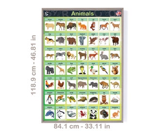 Animals Vocabulary Poster: English Language Learning (Digital Download)