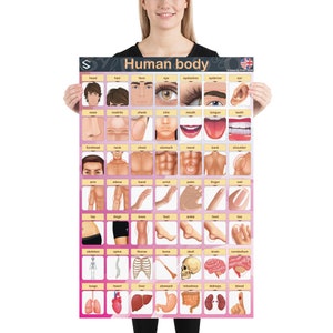 Human Body Vocabulary Poster: English Classroom Anatomy Chart (24x36in)