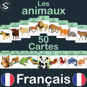 FRANCÊS Animais e zoologia Vocabulário Montessori flashcards para impressão | Vocabulário do mundo dos animais | Download digital [PDF]