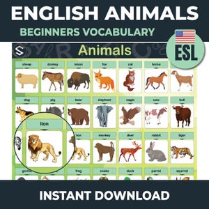 Póster Animales Inglés | Vocabulario Inglés | ESL Aprender Inglés | Poster Educativo