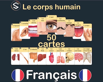 Franse lichaamsdelen-flashcards: Le Corps Humain-vocabulaire (digitale pdf)