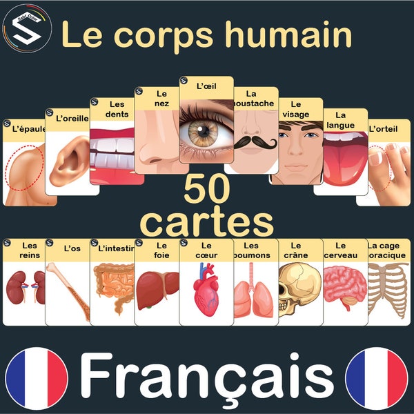 FRENCH Human body and anatomy Vocabulary montessori flashcards | Le Corps Humain | body parts playroom cards | Digital [PDF]