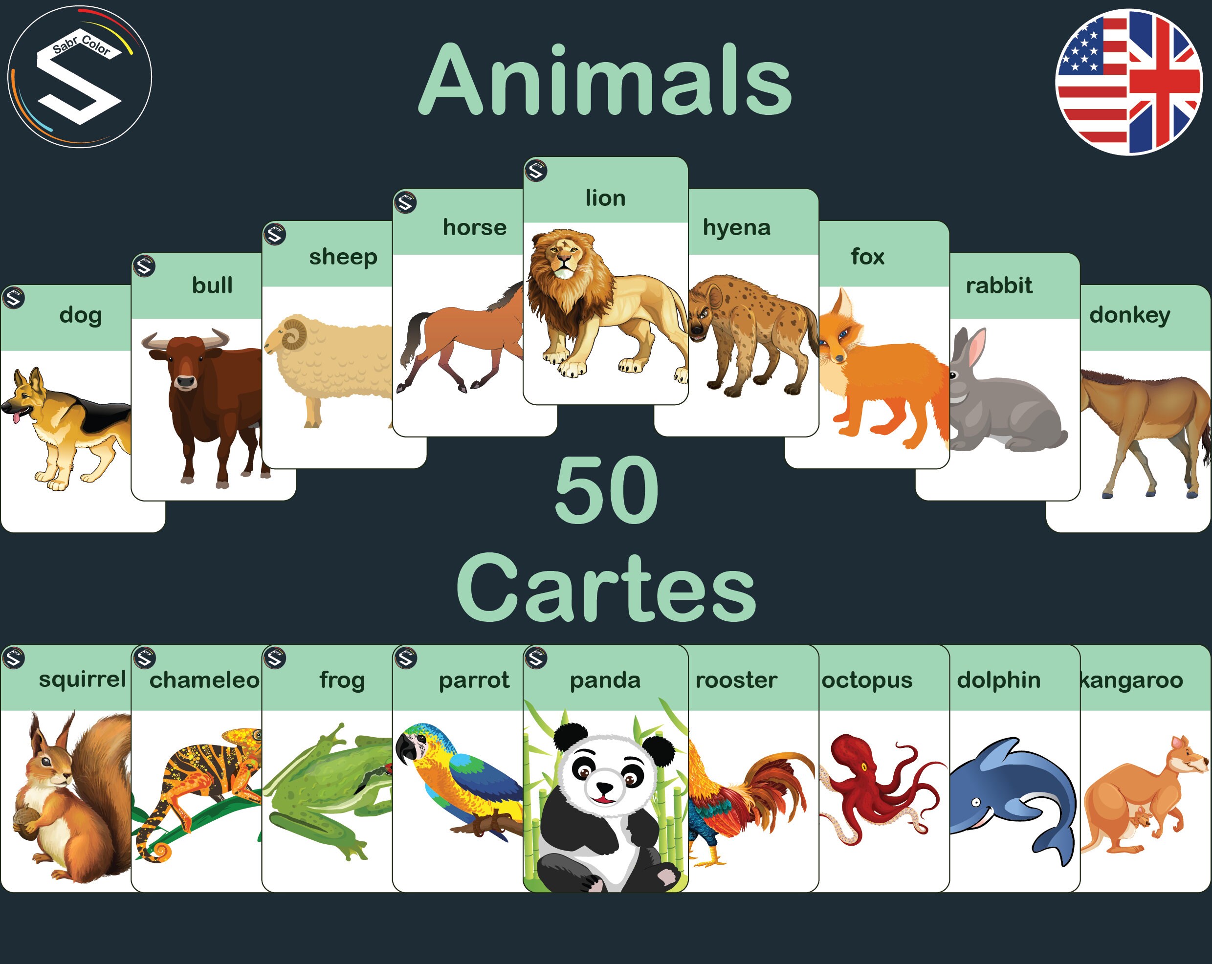 180 Cartes Flash Bébé - Apprentissage Animaux, Fruits, Couleurs, Formes Et Corps - Version Anglaise