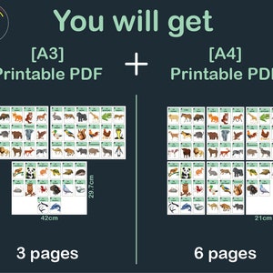 Op de afbeelding: Printbare PDF-bestanden van dierenkaartjes in twee formaten: A3 (42 cm x 29,7 cm) met 3 pagina's en A4 (21 cm x 29,7 cm) met 6 pagina's.