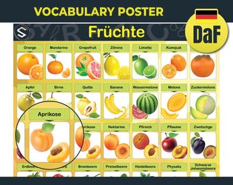 May include: A colorful vocabulary poster titled "Fruits in German" with various fruits labeled in German. The poster includes illustrations of oranges, apples, bananas, and more. The words "Instant Download" are at the bottom.