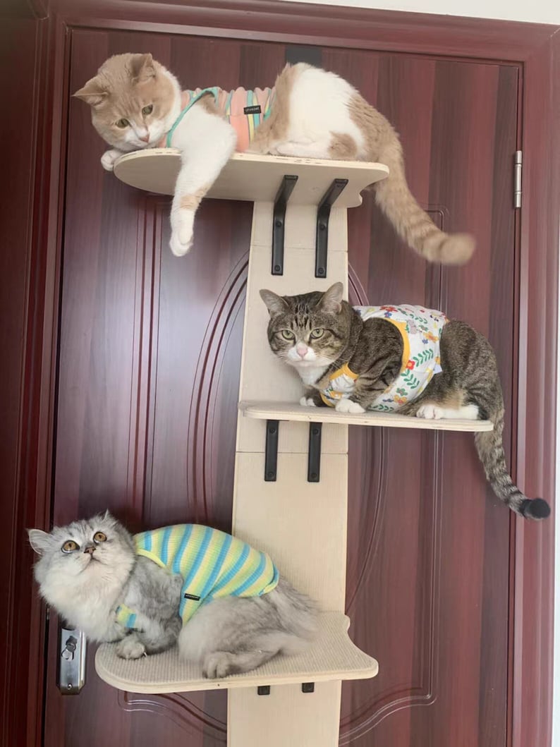 Wooden Door Cat Tree Door Hanging Bed for Cats Cat Climbing Etsy