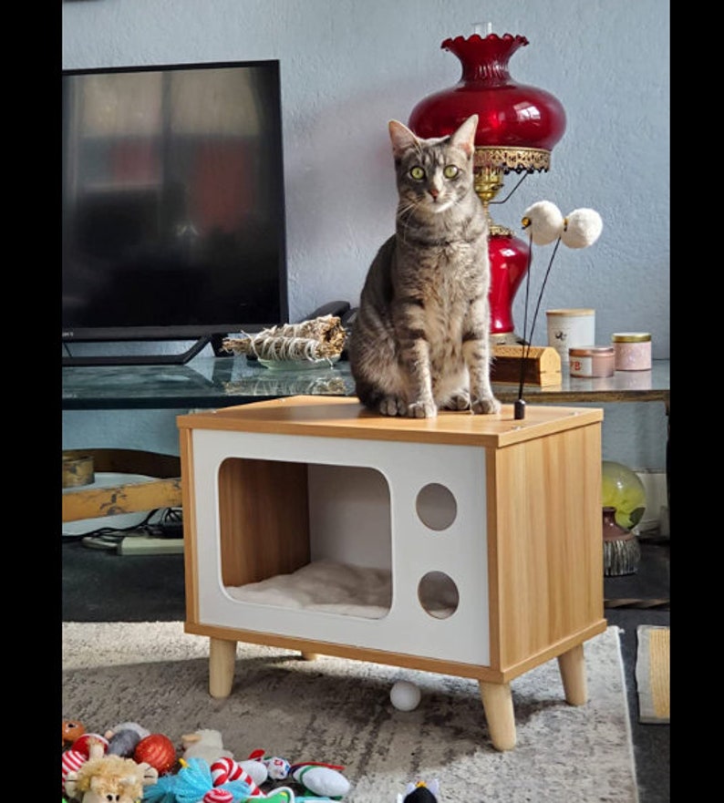 Wooden Cat House Tvshaped Cat Condo Wood Cat Bed Pet Etsy