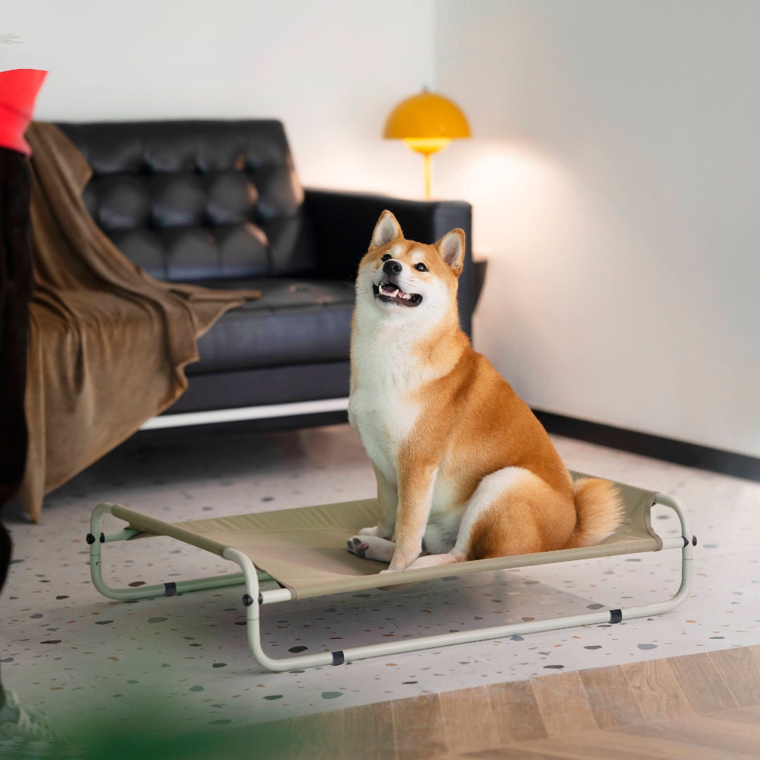 The busterthe ORIGINAL King Size Dog Bed Platform, Dog Bed Extender Wood  Raised Elevated Dog Bed Platform of the Bed 