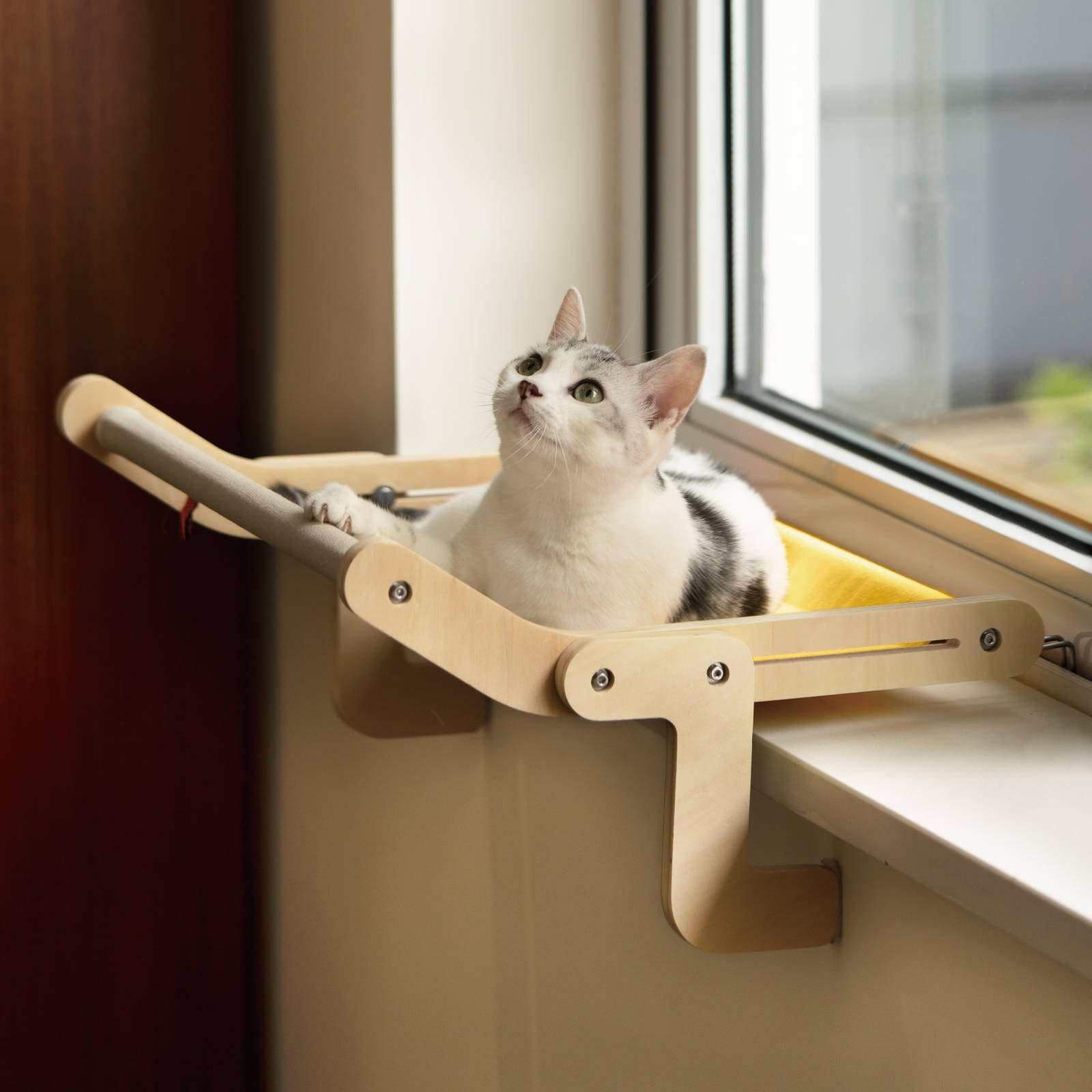 Cat bed window suction cups sales